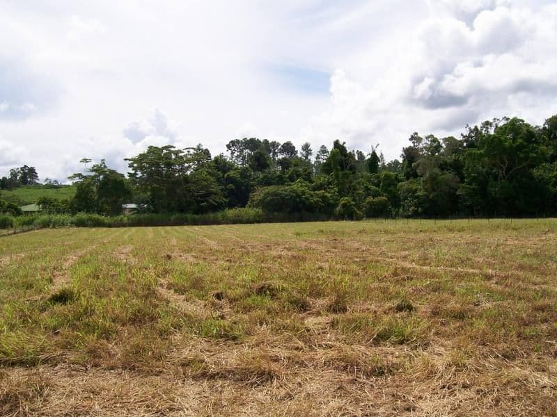 4 Witchetty Place, INNISFAIL QLD 4860, Innisfail - Thumbnail 2