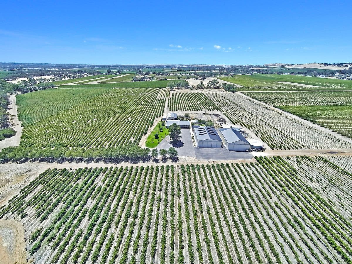 733B Light Pass Road, ANGASTON SA 5353, Angaston - Image 1