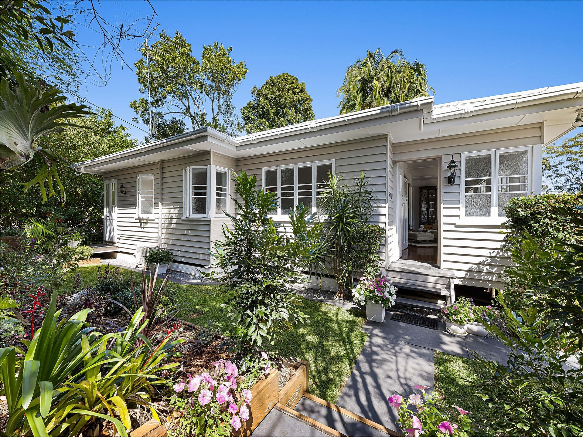 60 Chevallum Road, Palmwoods QLD 4555, Palmwoods - Thumbnail 2