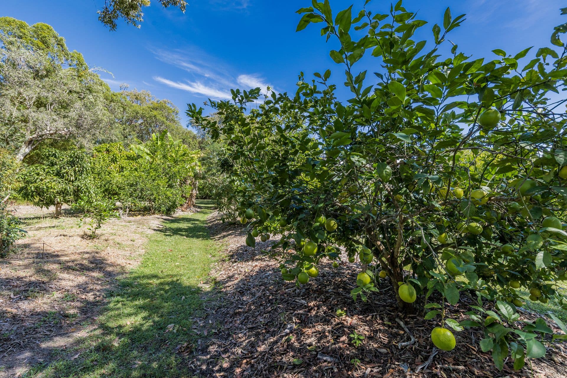 43 Streeter Drive, Agnes Water QLD 4677, Agnes Water - Thumbnail 4