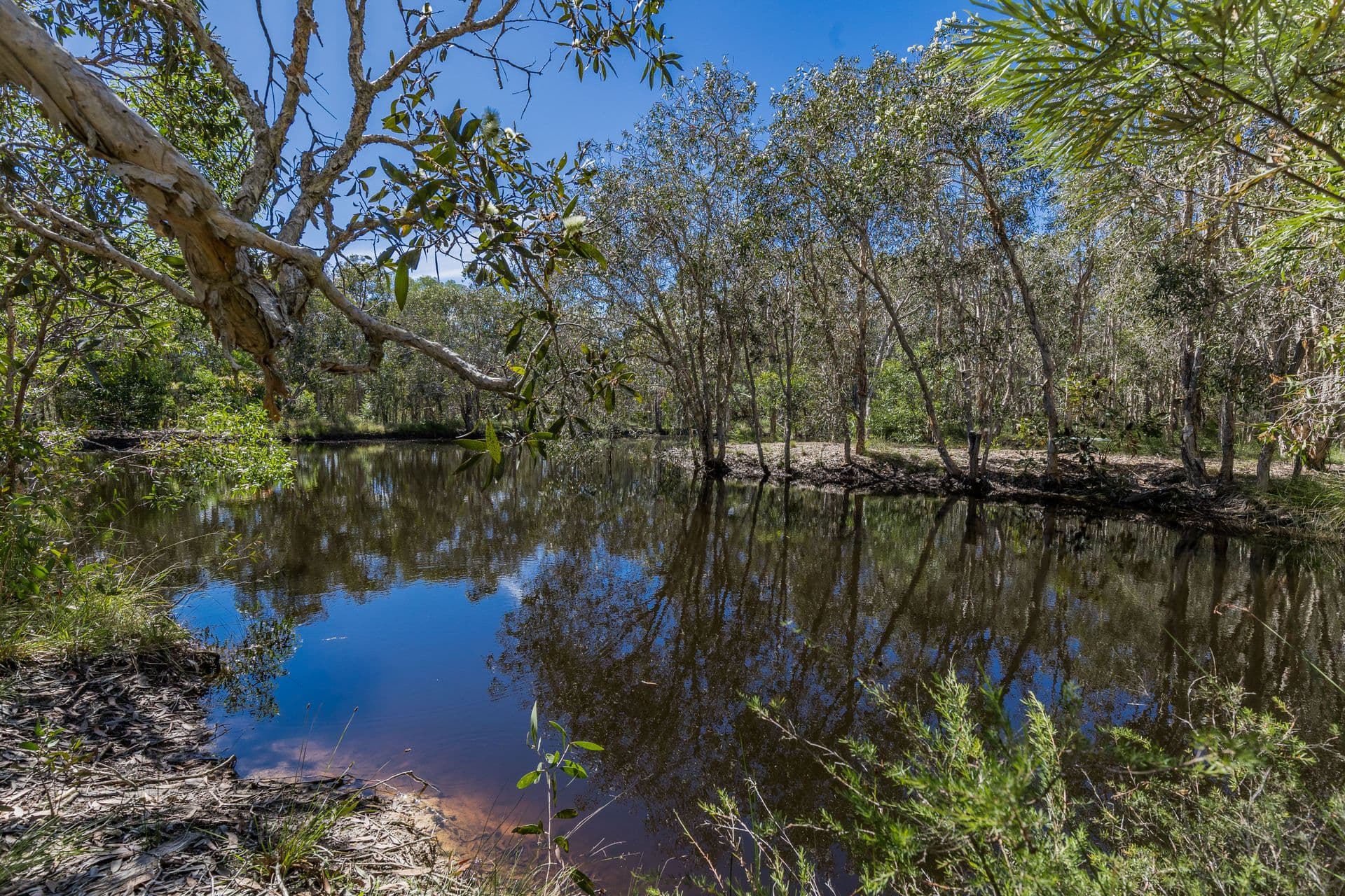 43 Streeter Drive, Agnes Water QLD 4677, Agnes Water - Thumbnail 6