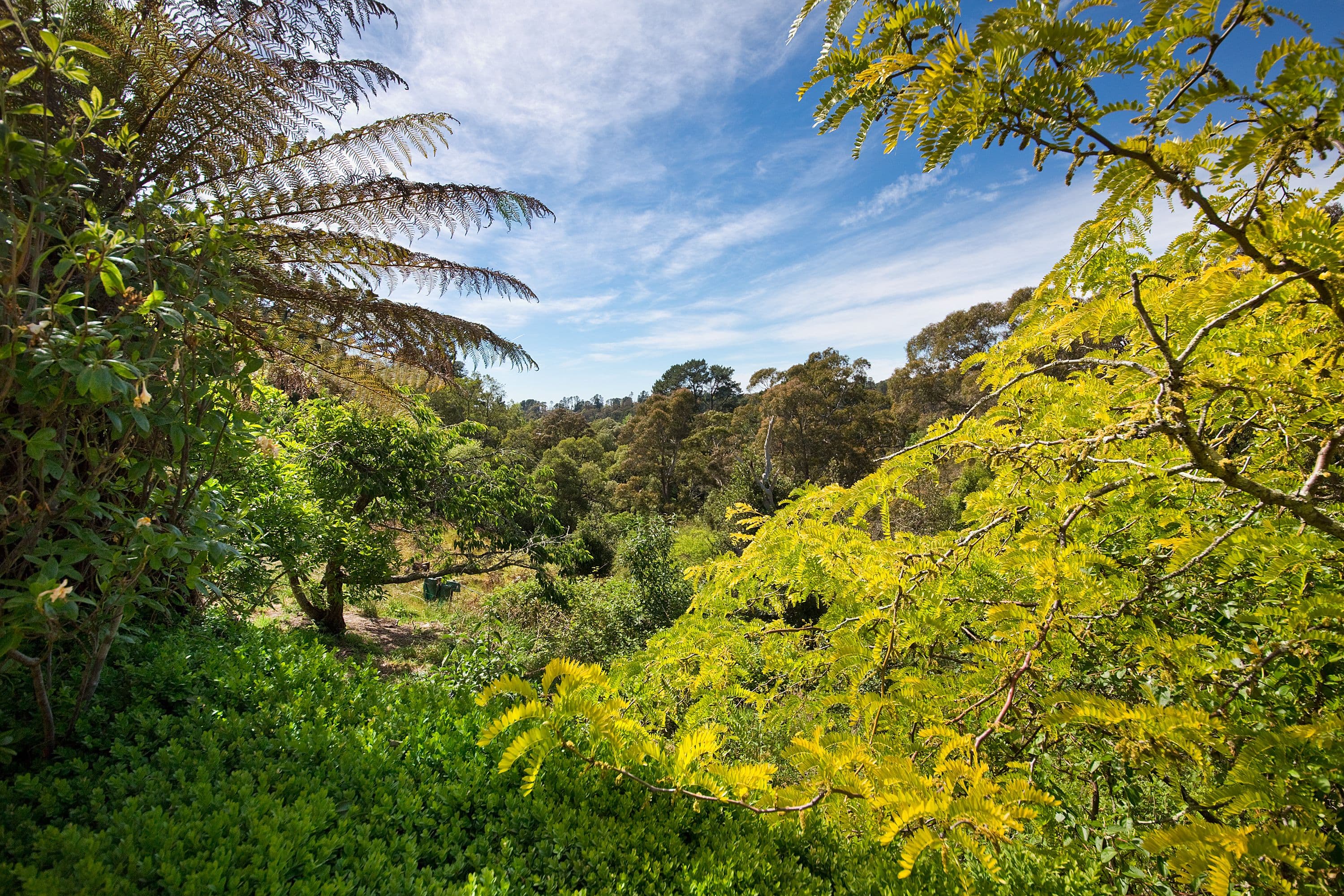 33 Hat Hill Road, Blackheath - Thumbnail 8
