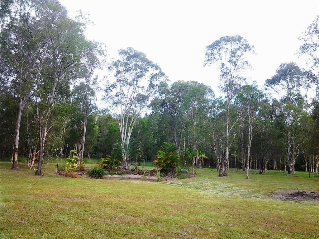 295 Arcoona Road, YANDINA CREEK QLD 4561, Yandina Creek - Image 1