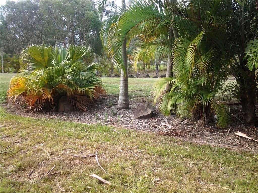 295 Arcoona Road, YANDINA CREEK QLD 4561, Yandina Creek - Thumbnail 3
