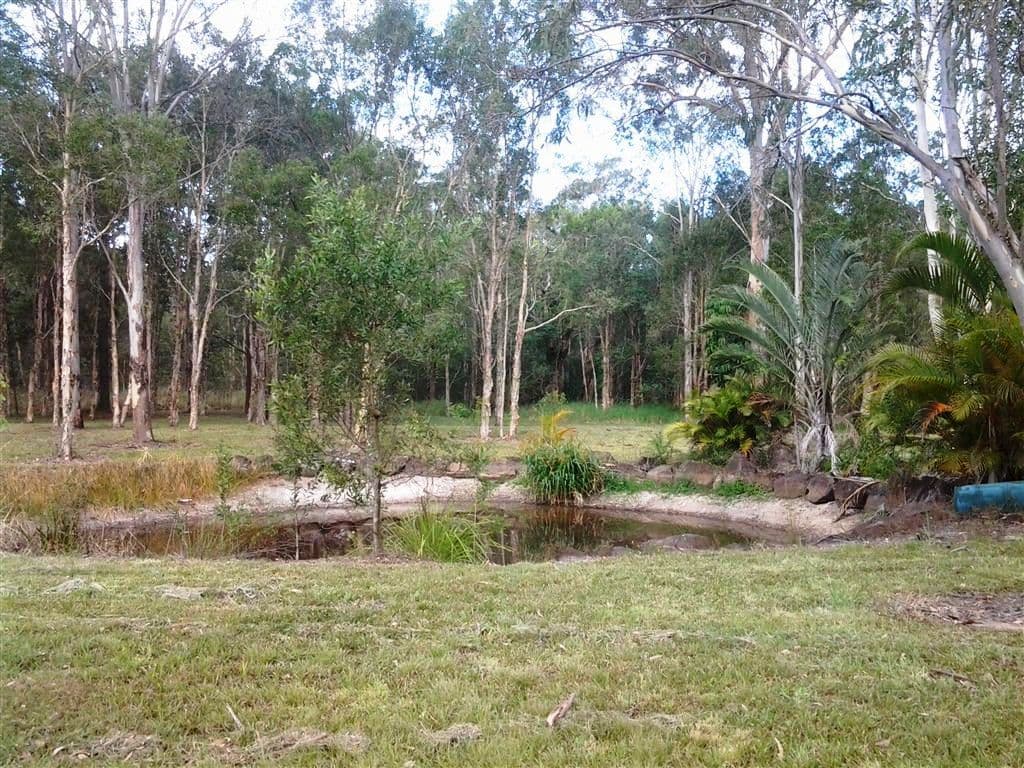 295 Arcoona Road, YANDINA CREEK QLD 4561, Yandina Creek - Thumbnail 4