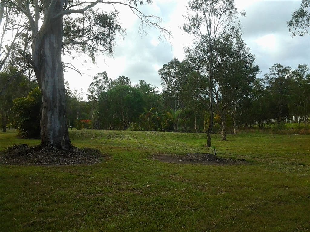 295 Arcoona Road, YANDINA CREEK QLD 4561, Yandina Creek - Thumbnail 5
