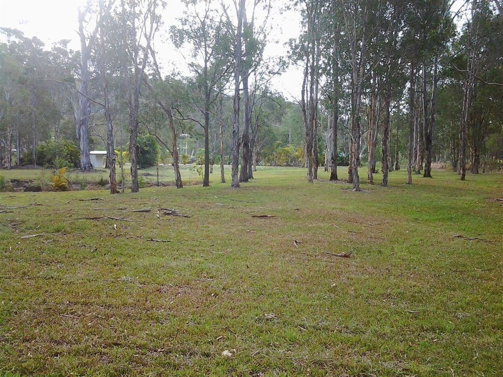 295 Arcoona Road, YANDINA CREEK QLD 4561, Yandina Creek - Thumbnail 8