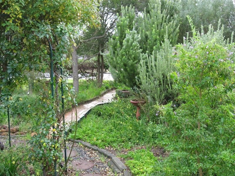1 Paulett Way, BELMONT WA 6104, Belmont - Thumbnail 8