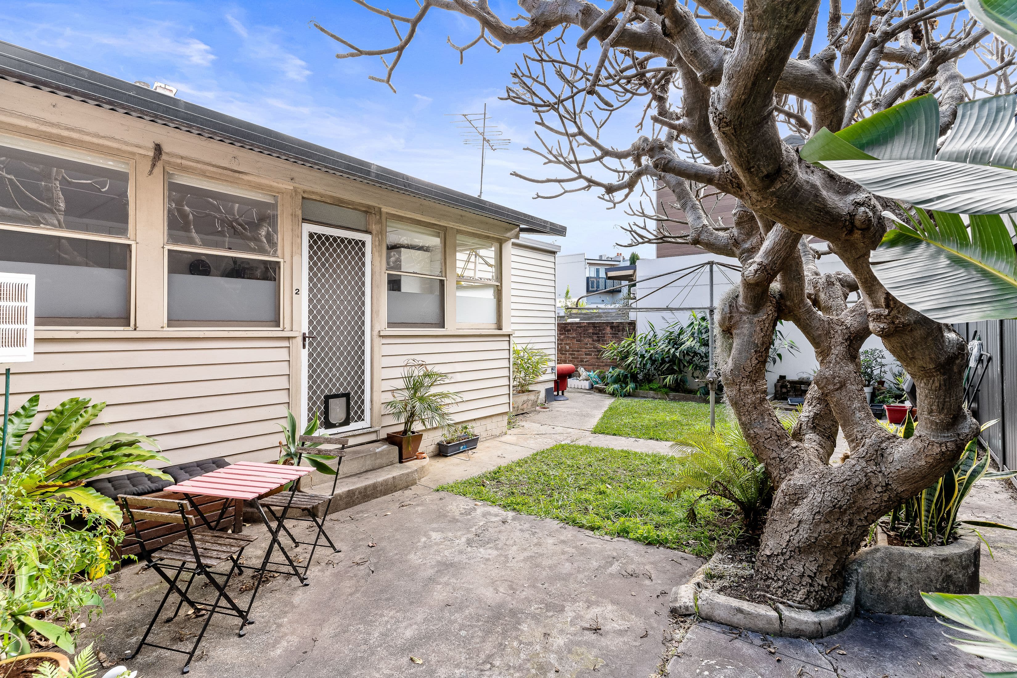 2 Thorby Avenue, Leichhardt NSW 2040, Leichhardt - Thumbnail 5
