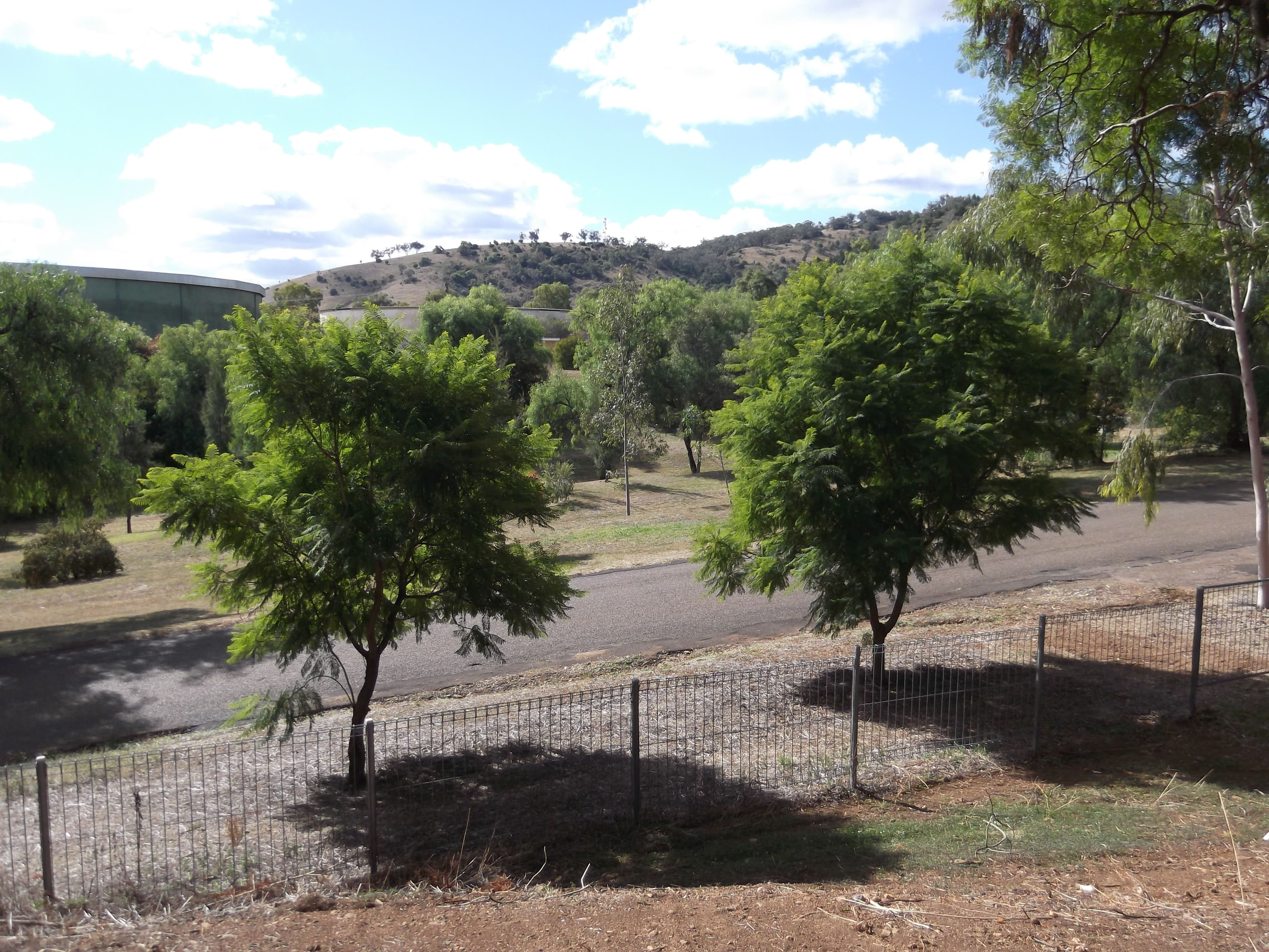 190 Brisbane Street, TAMWORTH NSW 2340, East Tamworth - Image 1