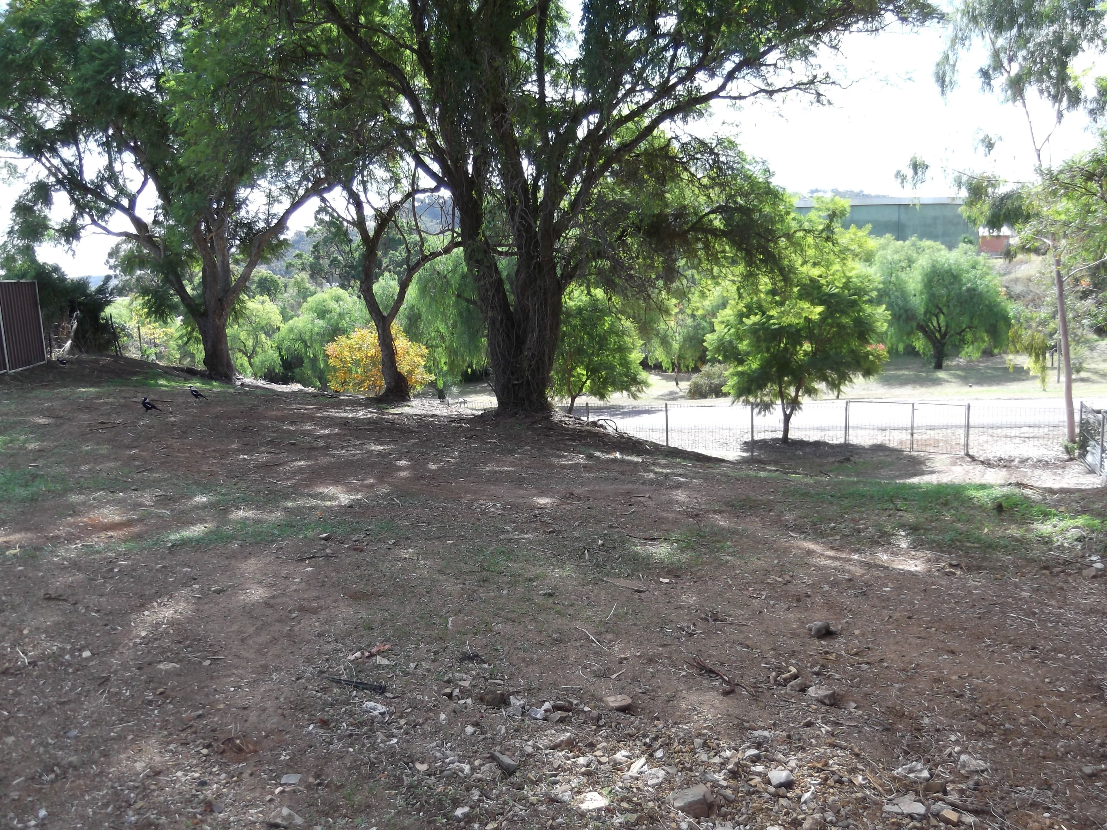 190 Brisbane Street, TAMWORTH NSW 2340, East Tamworth - Thumbnail 2