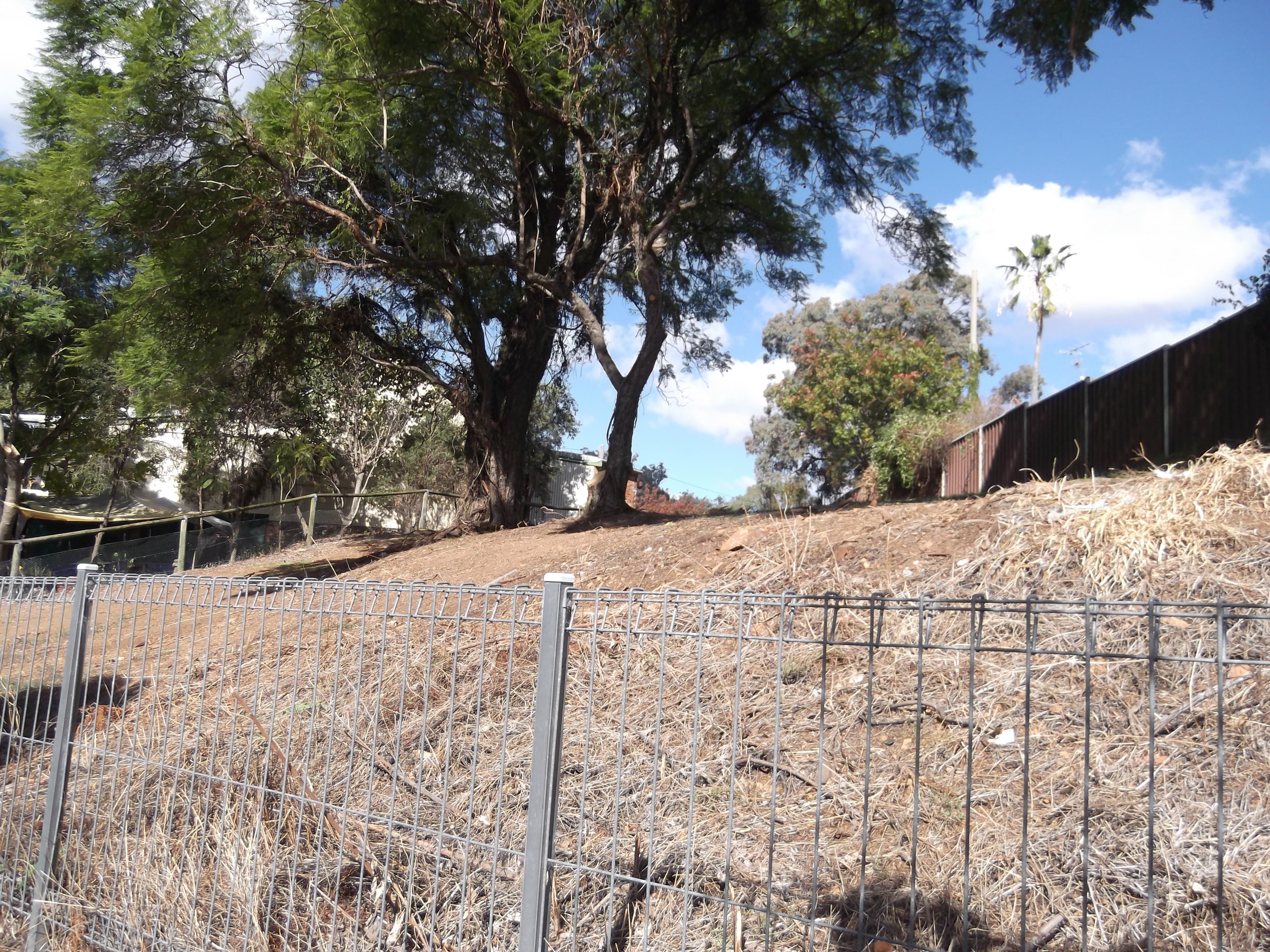 190 Brisbane Street, TAMWORTH NSW 2340, East Tamworth - Thumbnail 5