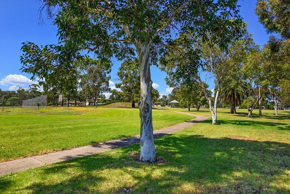 13 Park Terrace, Enfield SA 5085, Enfield - Thumbnail 2