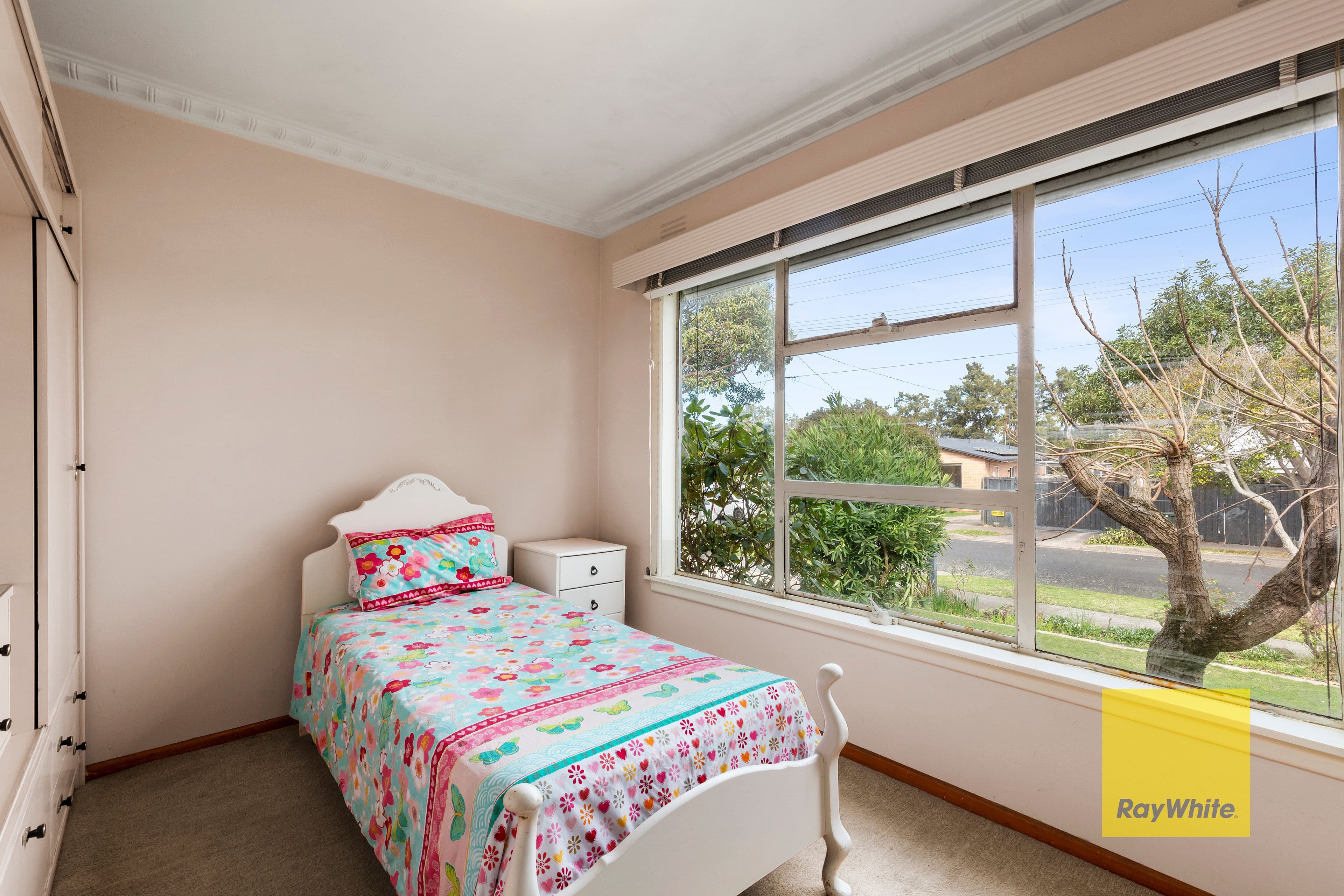 34 James Street, Belmont VIC 3216, Belmont - Thumbnail 4
