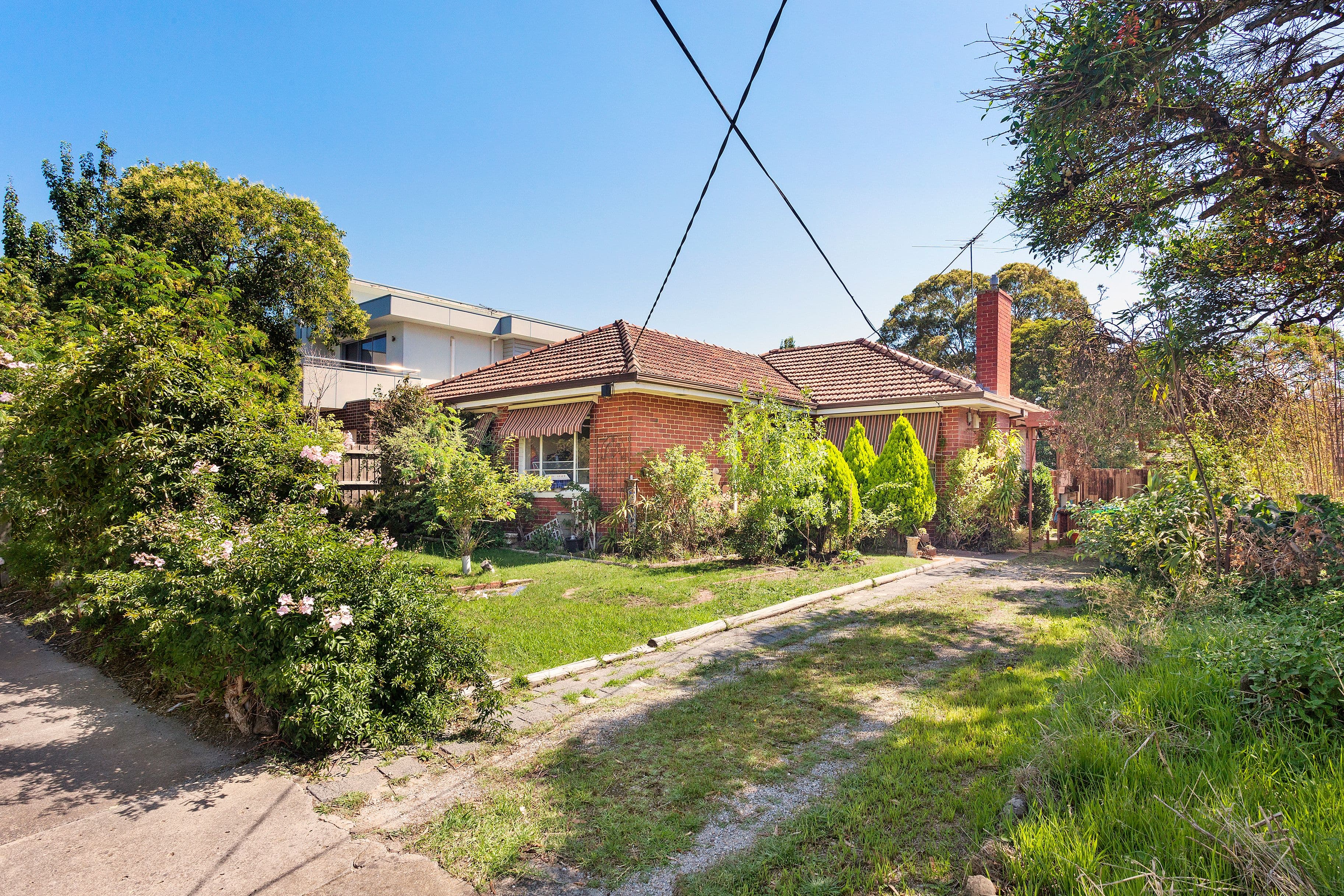13 Olive Street, Hampton VIC 3188, Hampton - Thumbnail 7