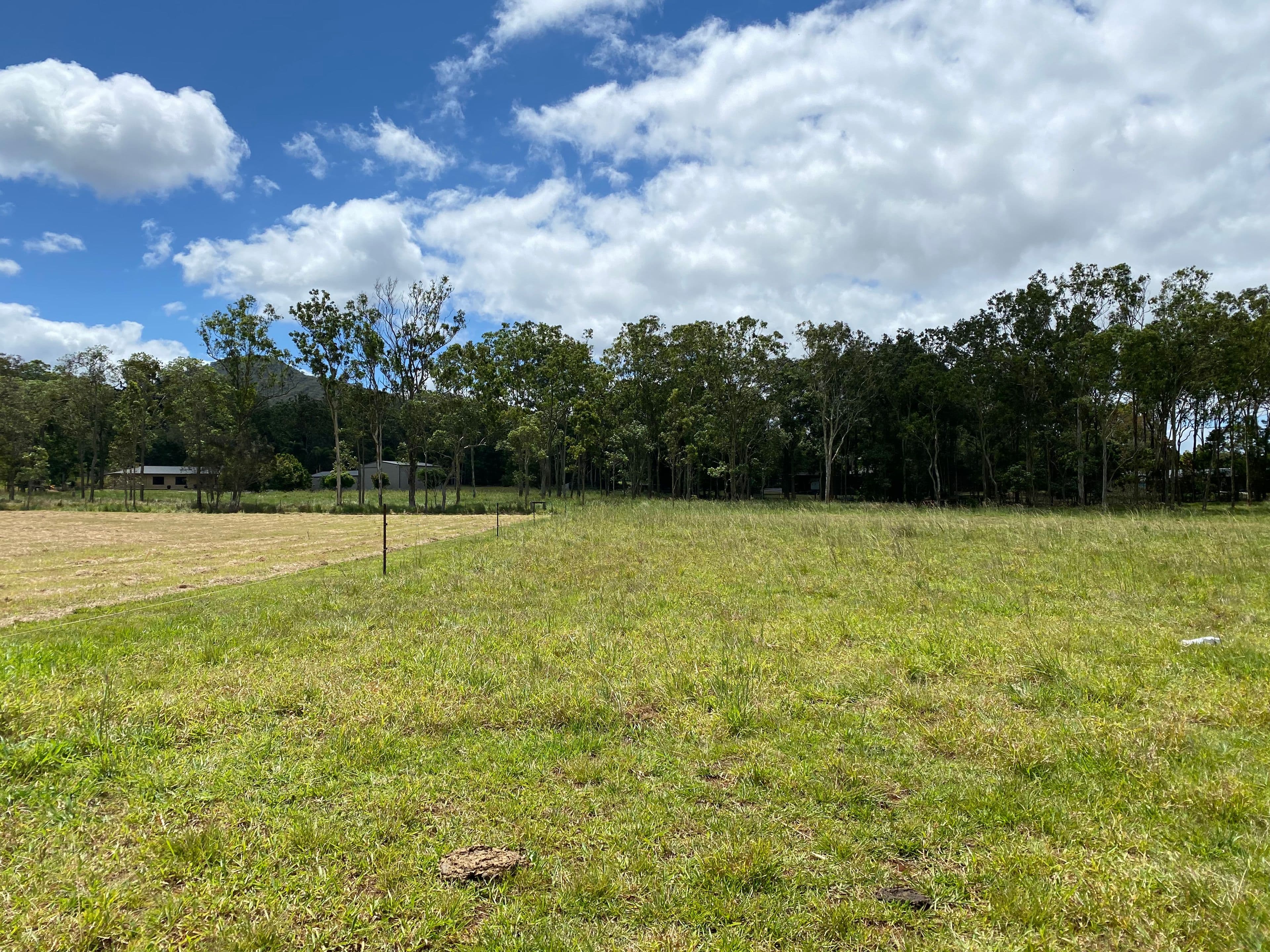 11 Webster Close, Atherton QLD 4883, Atherton - Thumbnail 2