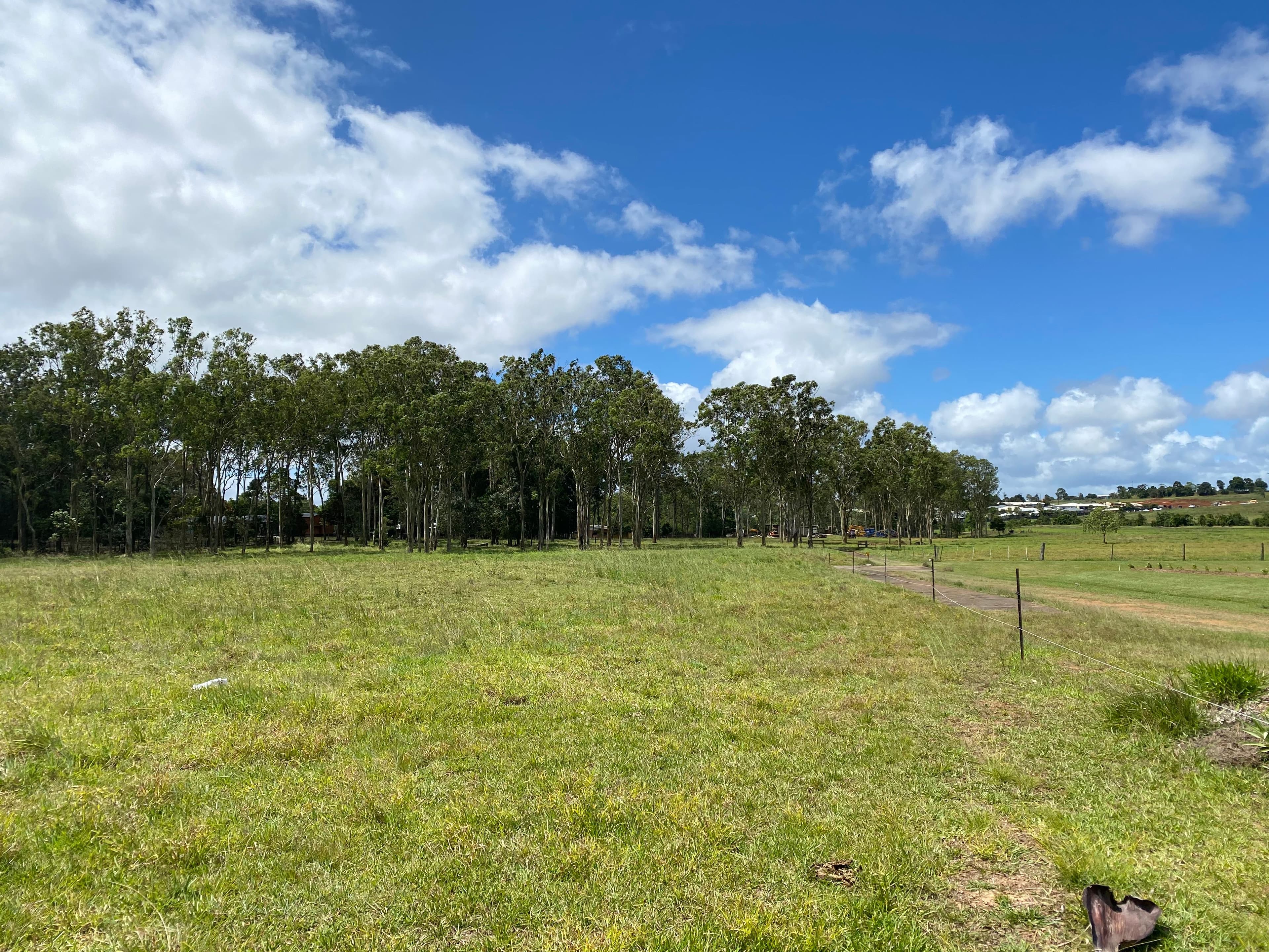 11 Webster Close, Atherton QLD 4883, Atherton - Thumbnail 3
