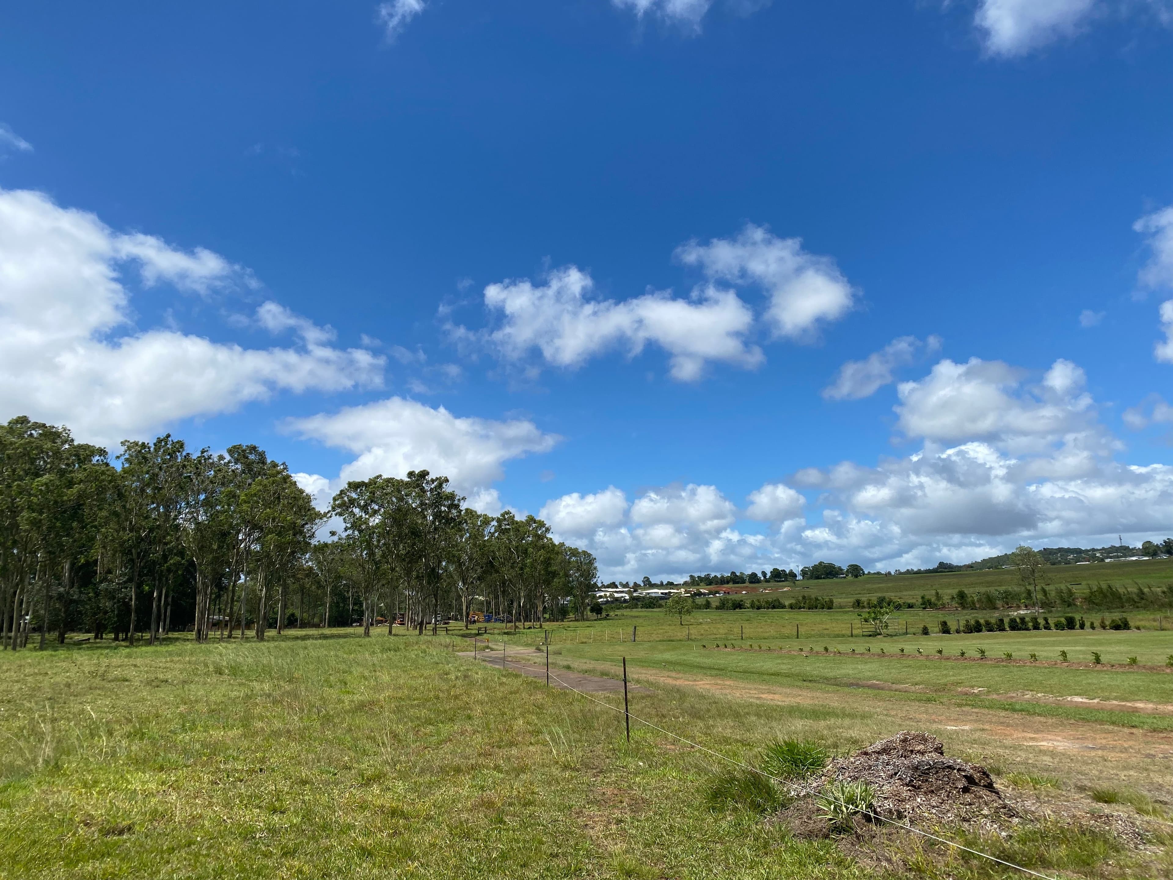 11 Webster Close, Atherton QLD 4883, Atherton - Thumbnail 4