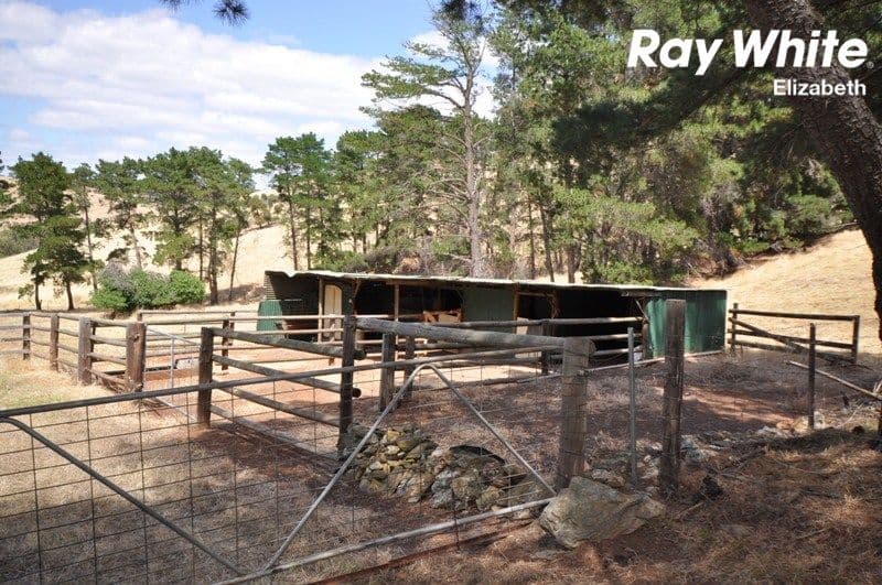 Lot 11 RPAP 247 Precolumb Road, One Tree Hill SA 5114, One Tree Hill - Thumbnail 7