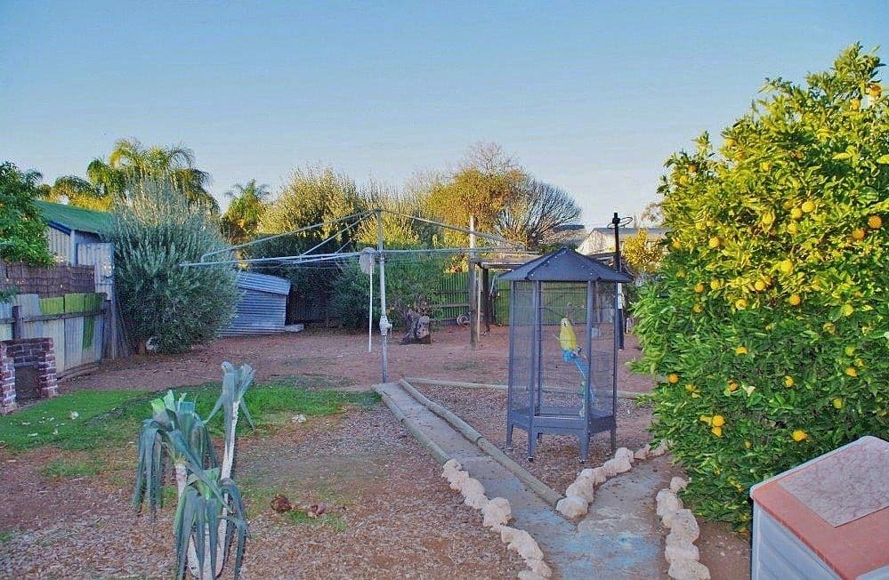 54 Eleventh Street, Renmark SA 5341, Renmark - Thumbnail 6