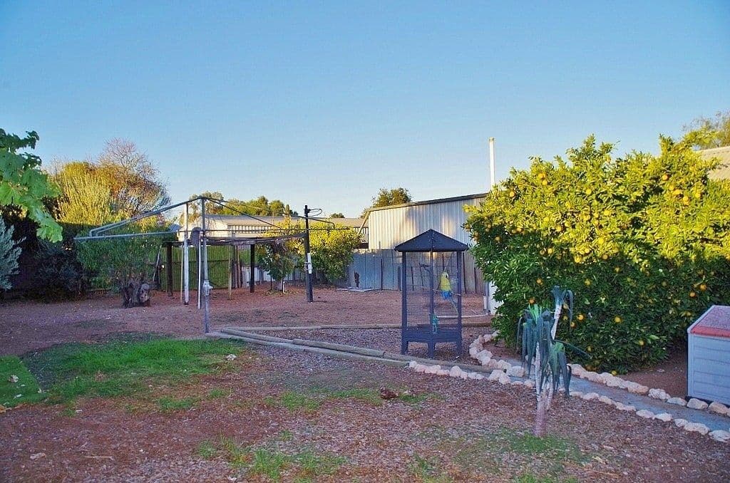 54 Eleventh Street, Renmark SA 5341, Renmark - Thumbnail 7