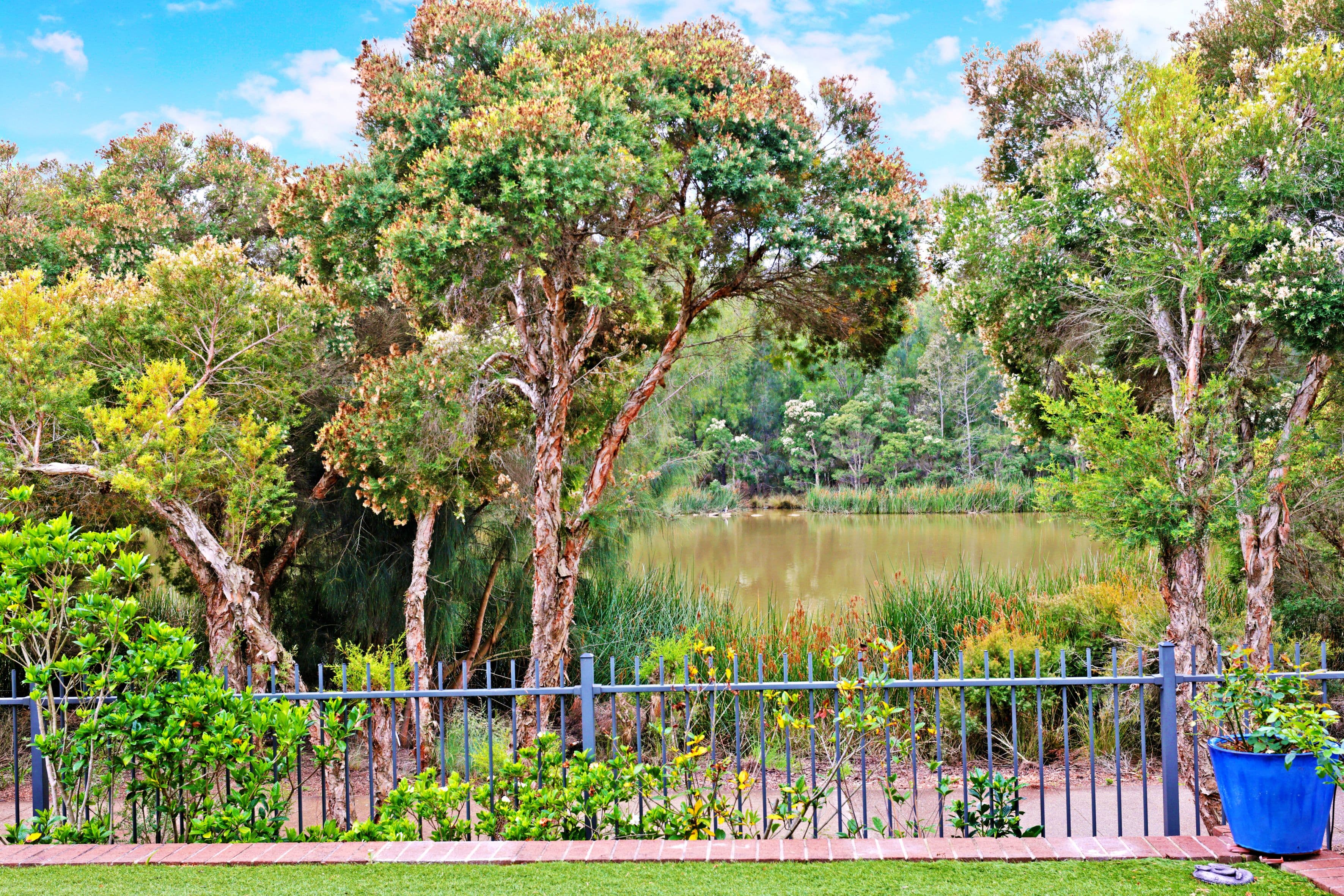 7 Teal Place, Cranebrook NSW 2749, Cranebrook - Thumbnail 2