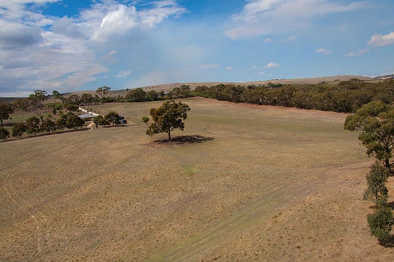 298 Spring Farm Road, CLARE SA 5453, Clare - Thumbnail 4