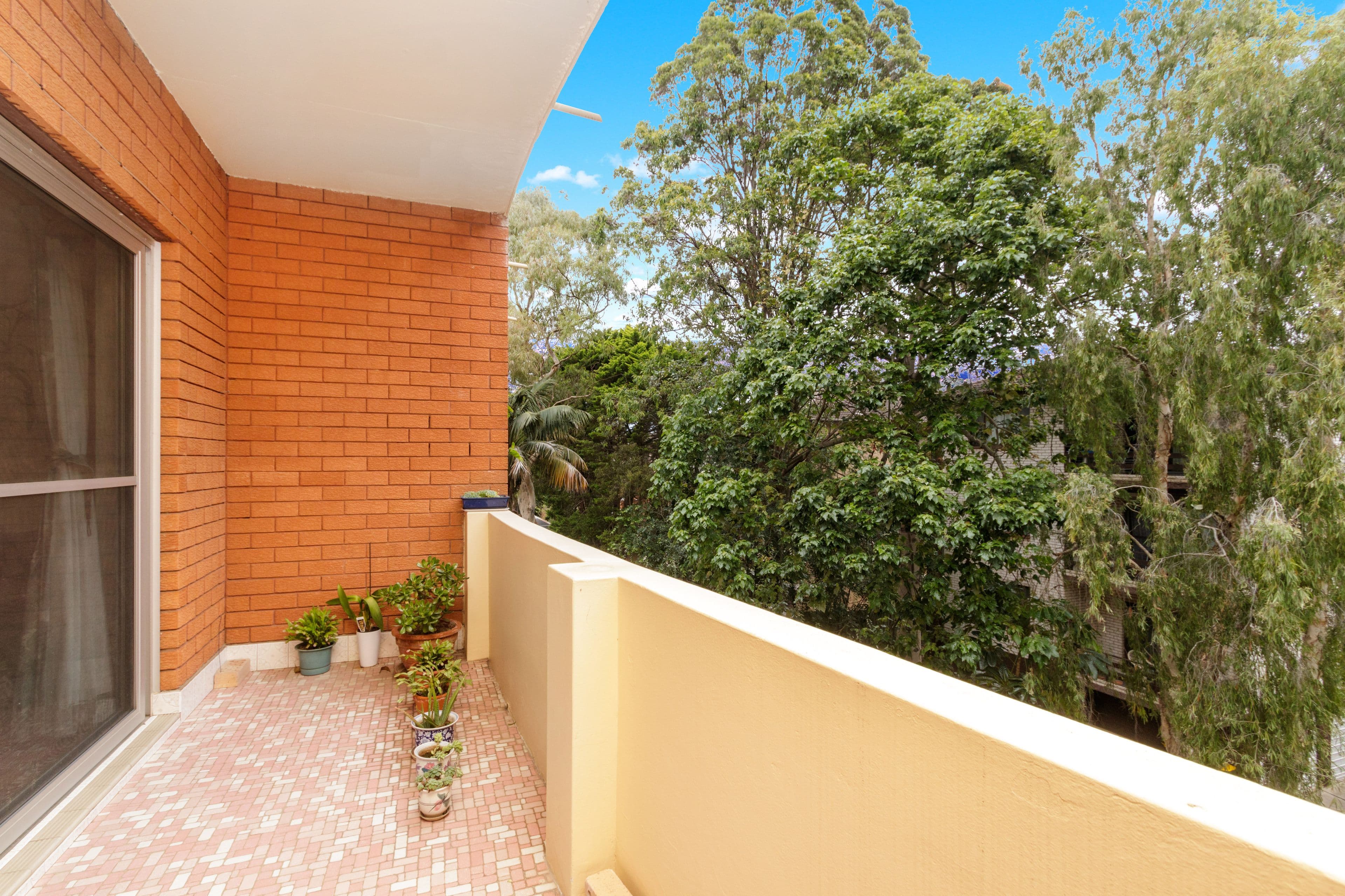 23 Illawarra Street, Allawah NSW 2218, Allawah - Thumbnail 6
