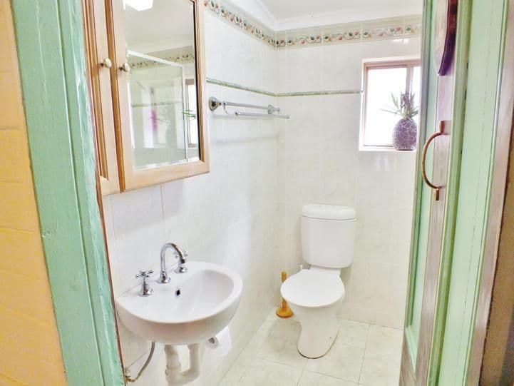 17 Hills Street, YOUNG NSW 2594, Young - Thumbnail 5
