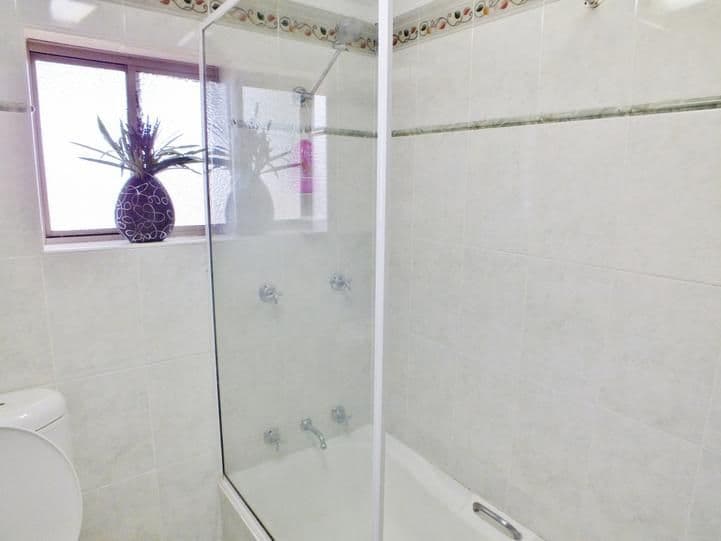17 Hills Street, YOUNG NSW 2594, Young - Thumbnail 6