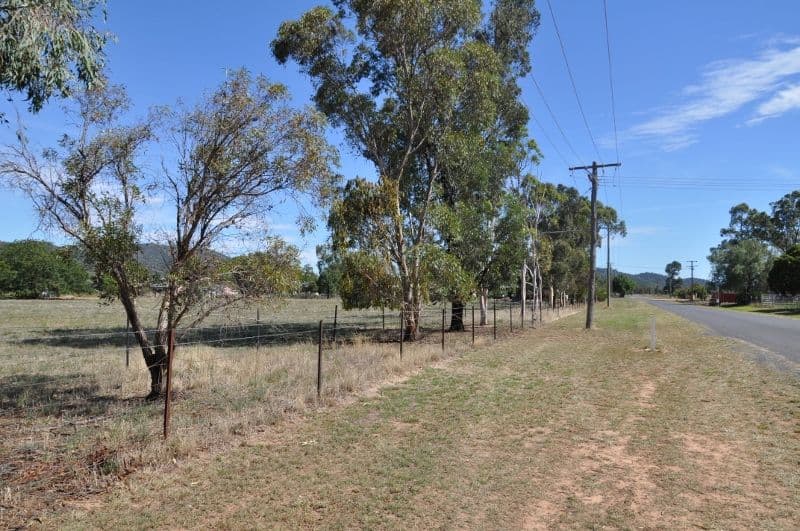 Lot 51 Noble Street, Eugowra NSW 2806, Eugowra - Image 1