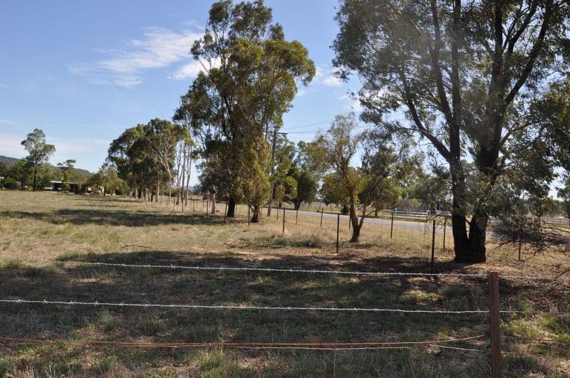 Lot 51 Noble Street, Eugowra NSW 2806, Eugowra - Thumbnail 3
