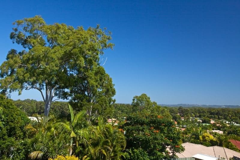 6 Ridgehaven Court, AROONA QLD 4551, Aroona - Thumbnail 5