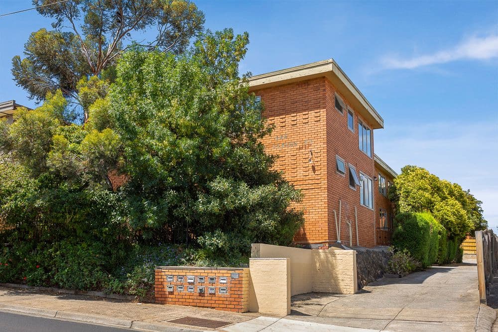 446 Albion Street, Brunswick West VIC 3055, Brunswick West - Thumbnail 8