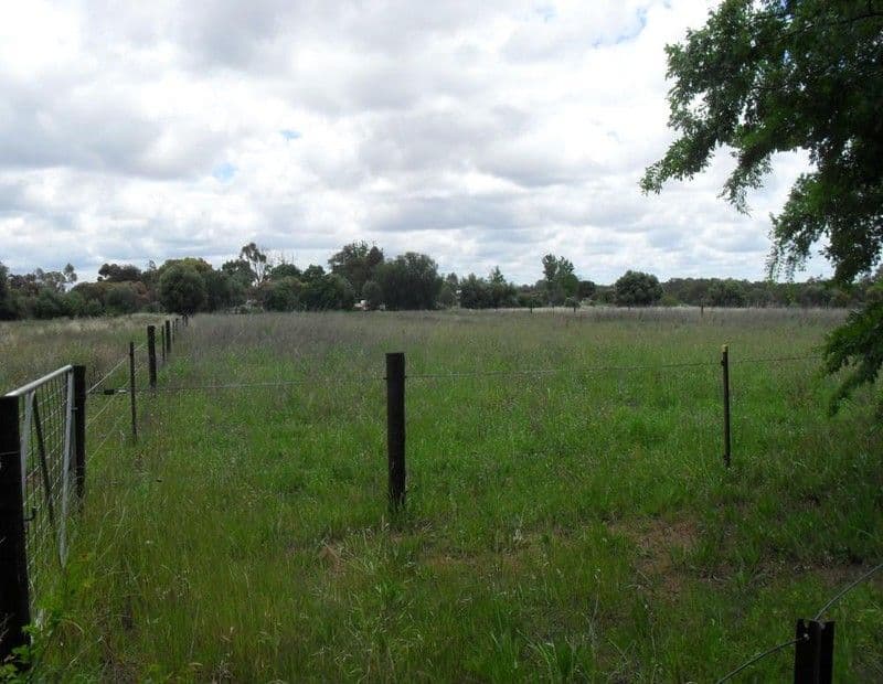 9 Thwaites Road, NYAH VIC 3594, Nyah - Thumbnail 7