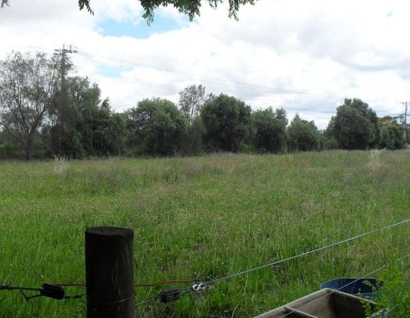 9 Thwaites Road, NYAH VIC 3594, Nyah - Thumbnail 8