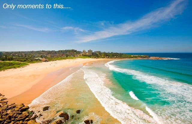 94 Lawrence Street, FRESHWATER NSW 2096, Freshwater - Thumbnail 5