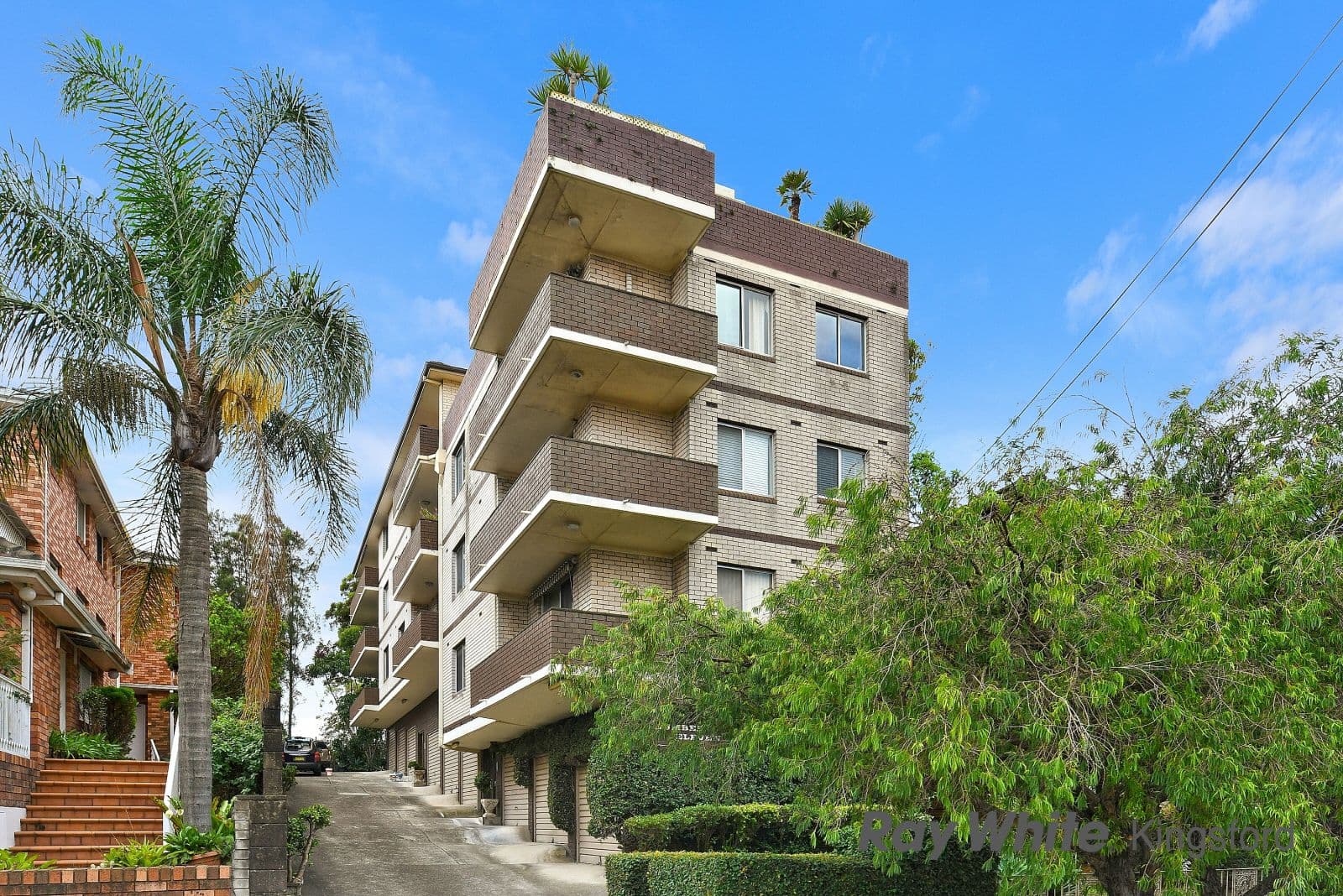 11 Salisbury Road, Kensington NSW 2033, Kensington - Thumbnail 2