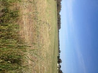 Lot 10 Moulder Street, CONDOBOLIN NSW 2877, Condobolin - Thumbnail 2