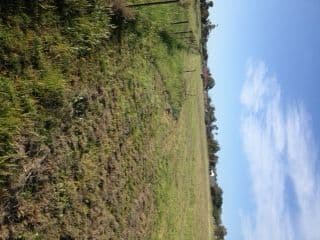 Lot 10 Moulder Street, CONDOBOLIN NSW 2877, Condobolin - Thumbnail 3
