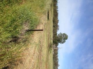 Lot 10 Moulder Street, CONDOBOLIN NSW 2877, Condobolin - Thumbnail 4