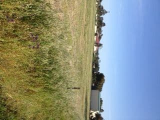Lot 10 Moulder Street, CONDOBOLIN NSW 2877, Condobolin - Thumbnail 5