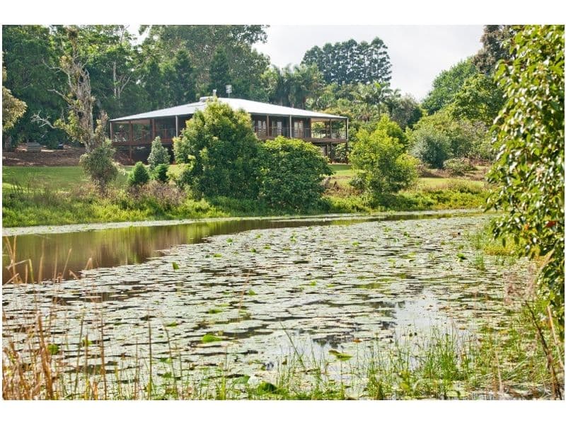 207 Witta Road, WITTA QLD 4552, Witta - Thumbnail 4