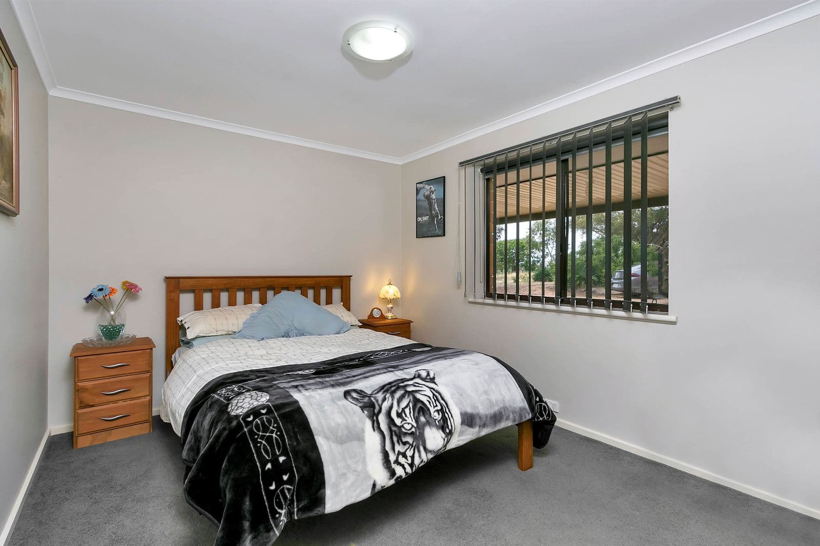 18 Gods Hill Road, Lyndoch SA 5351, Lyndoch - Thumbnail 5