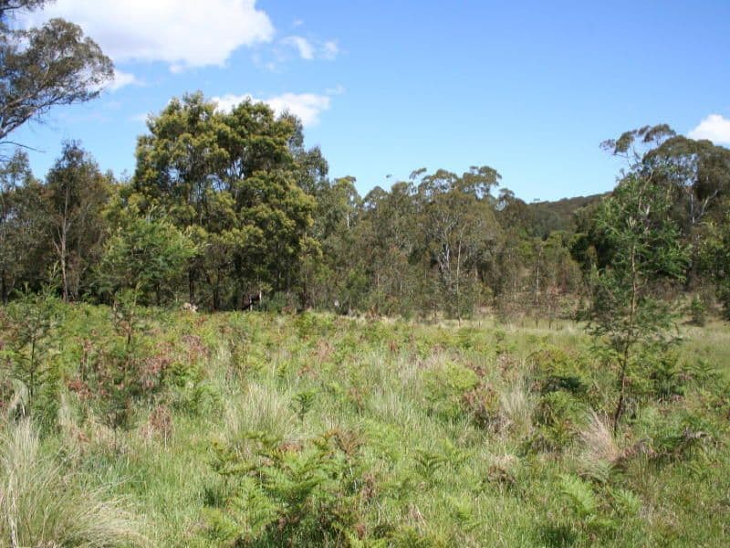 Wilson Street, MAJORS CREEK NSW 2622, Majors Creek - Thumbnail 2