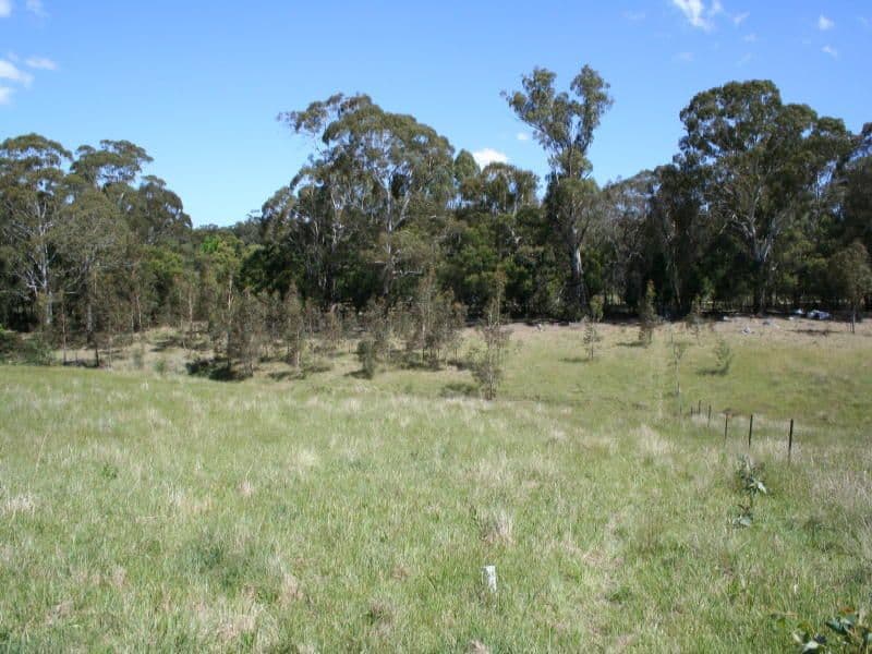 Wilson Street, MAJORS CREEK NSW 2622, Majors Creek - Thumbnail 3