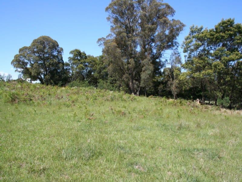 Wilson Street, MAJORS CREEK NSW 2622, Majors Creek - Thumbnail 4