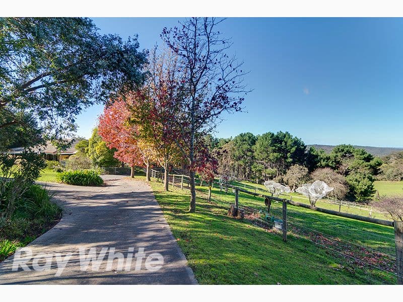536 Cherry Gardens Road, Cherry Gardens SA 5157, Cherry Gardens - Thumbnail 4