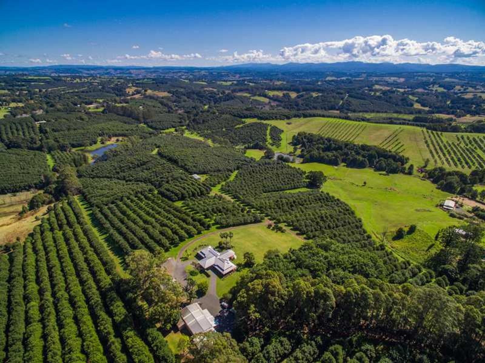 571 Pearces Creek Rd, Alstonvale - Thumbnail 4