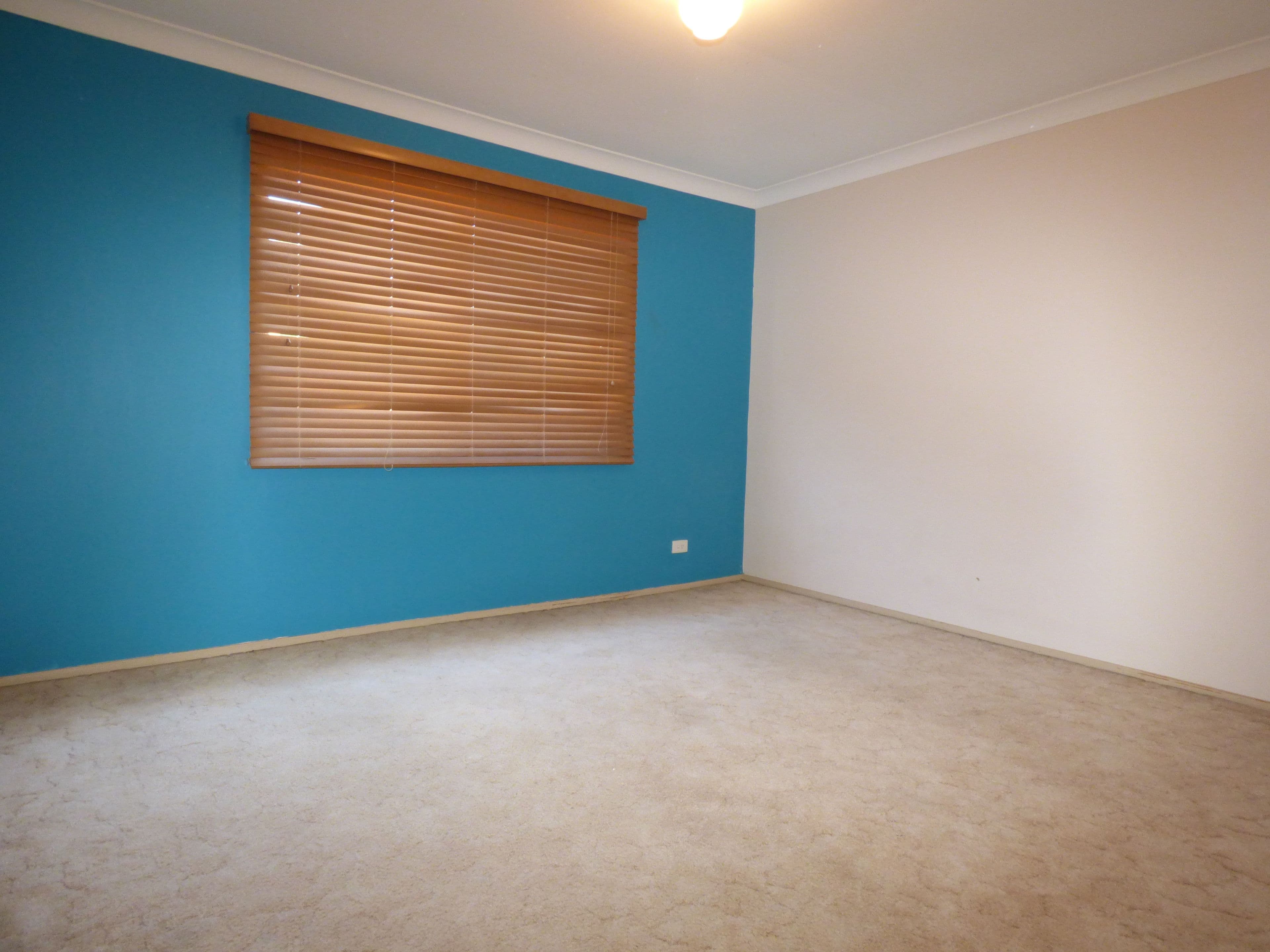 20 Pine Avenue, Beenleigh QLD 4207, Beenleigh - Thumbnail 5
